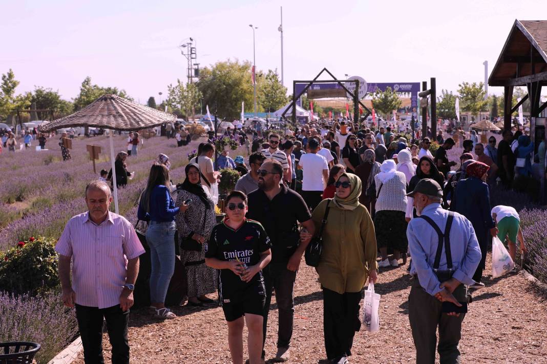 Karatay’ın mor denizi tüm dünyayı peşinden sürükledi! Görmeyen kalmadı 7